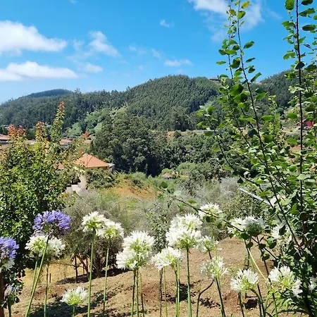 Quiet Countryside Nature Retreat Santa Cruz  Exterior photo