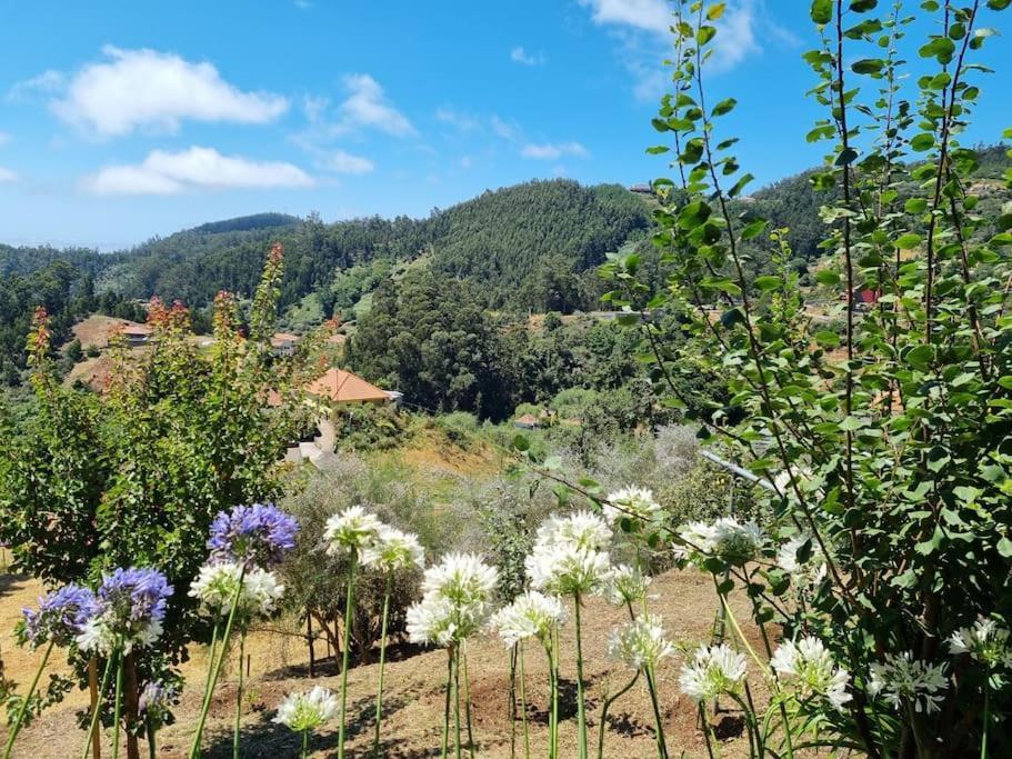 Quiet Countryside Nature Retreat *